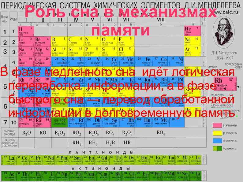  Роль сна в механизмах памяти В фазе медленного сна идёт логическая переработка информации,