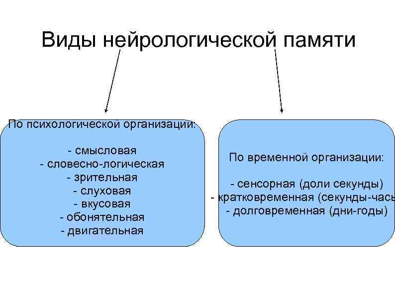  Виды нейрологической памяти По психологической организации: - смысловая По временной организации: - словесно-логическая
