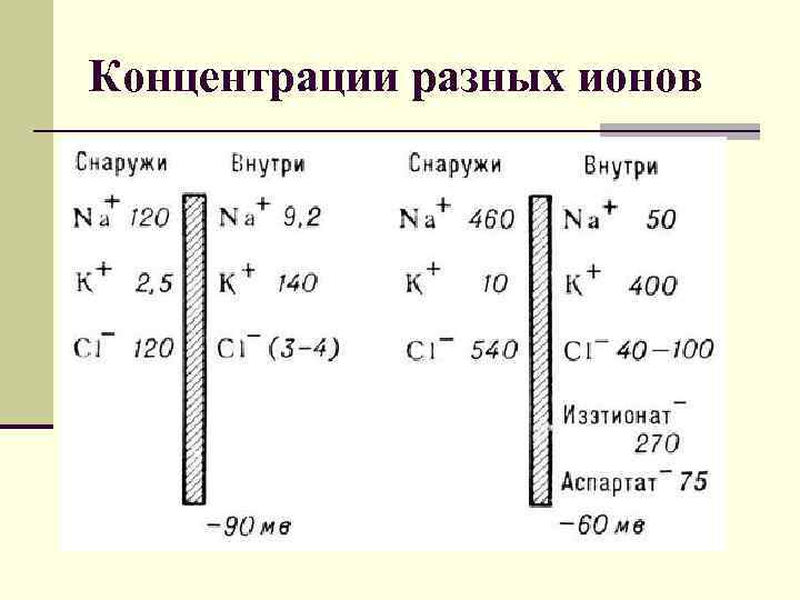 Концентрации разных ионов 