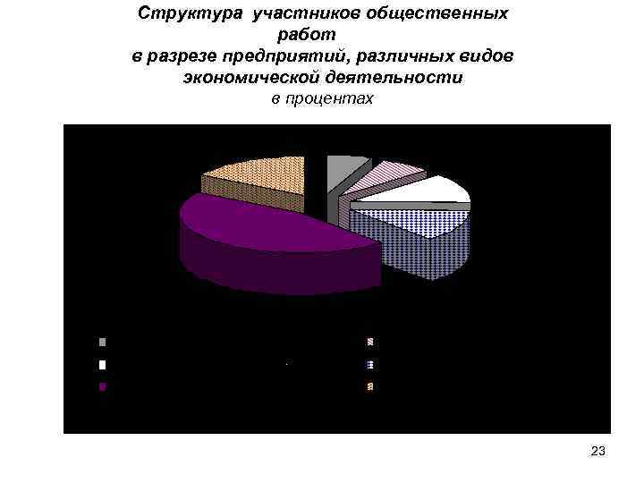 Структура участников общественных работ в разрезе предприятий, различных видов экономической деятельности в процентах 23
