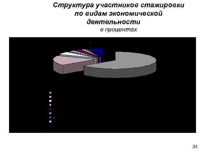 Структура участников стажировки по видам экономической деятельности в процентах 24 