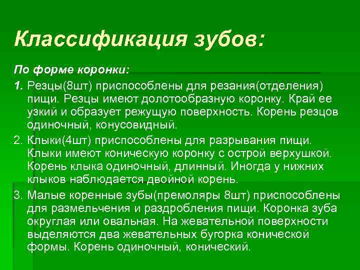 Классификация зубов: По форме коронки: 1. Резцы(8 шт) приспособлены для резания(отделения) пищи. Резцы имеют