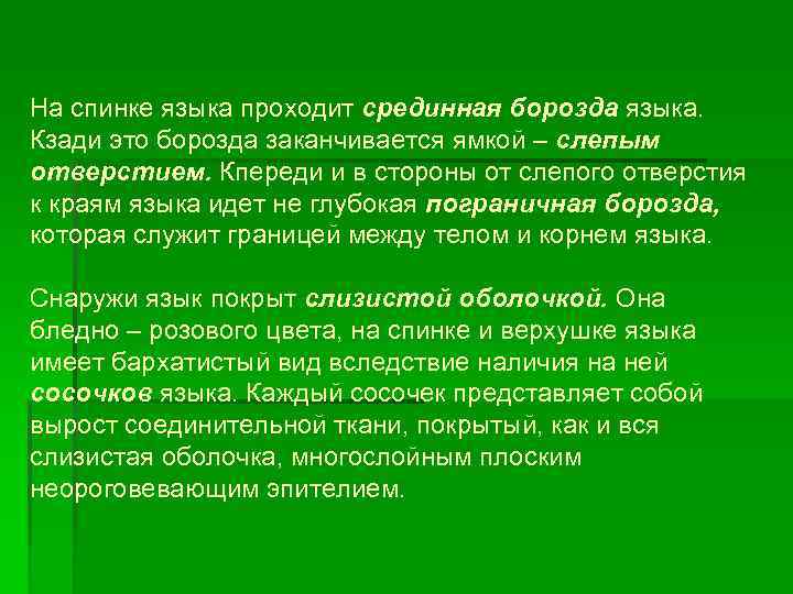 На спинке языка проходит срединная борозда языка. Кзади это борозда заканчивается ямкой – слепым