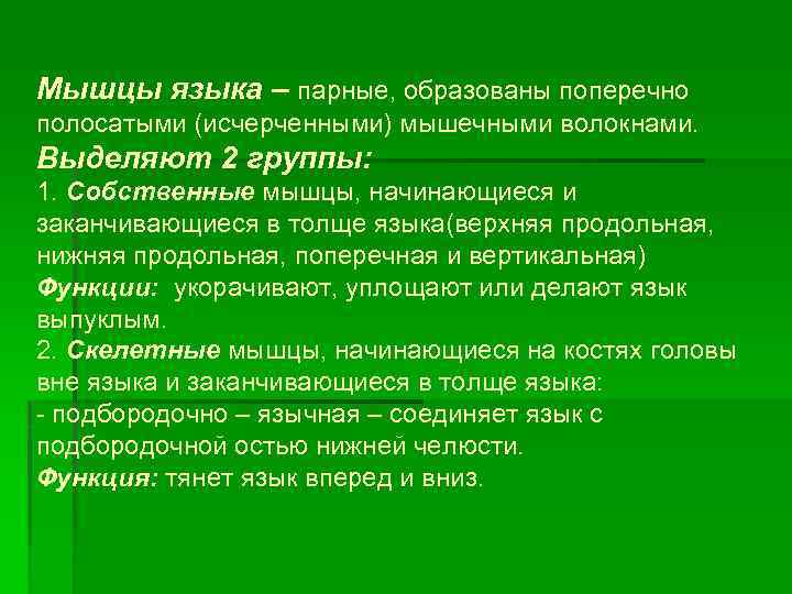 Мышцы языка – парные, образованы поперечно полосатыми (исчерченными) мышечными волокнами. Выделяют 2 группы: 1.