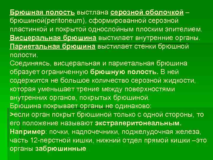 Брюшная полость выстлана серозной оболочкой – брюшиной(peritoneum), сформированной серозной пластинкой и покрытой однослойным плоским