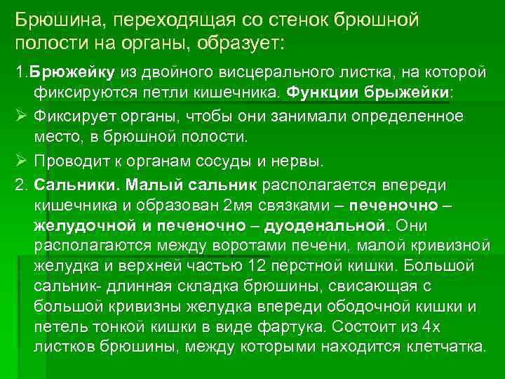 Брюшина, переходящая со стенок брюшной полости на органы, образует: 1. Брюжейку из двойного висцерального