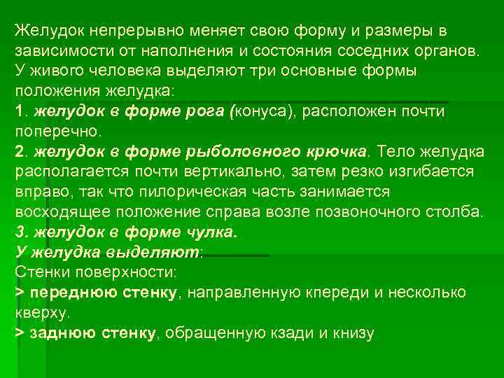 Желудок непрерывно меняет свою форму и размеры в зависимости от наполнения и состояния соседних