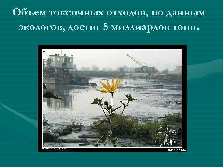 Объем токсичных отходов, по данным экологов, достиг 5 миллиардов тонн. 