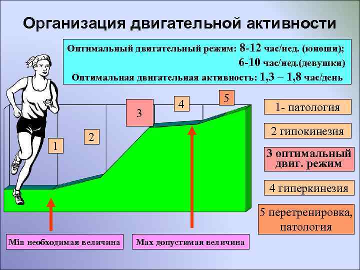  Организация двигательной активности Оптимальный двигательный режим: 8 -12 час/нед. (юноши); 6 -10 час/нед.