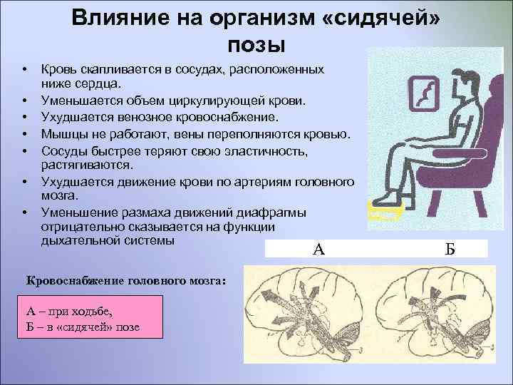  Влияние на организм «сидячей» позы • Кровь скапливается в сосудах, расположенных ниже сердца.