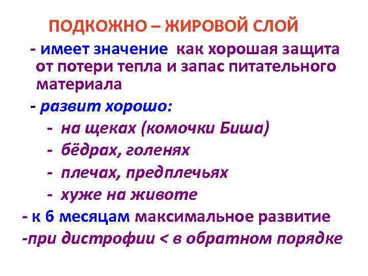 ПОДКОЖНО – ЖИРОВОЙ СЛОЙ - имеет значение как хорошая защита от потери тепла и