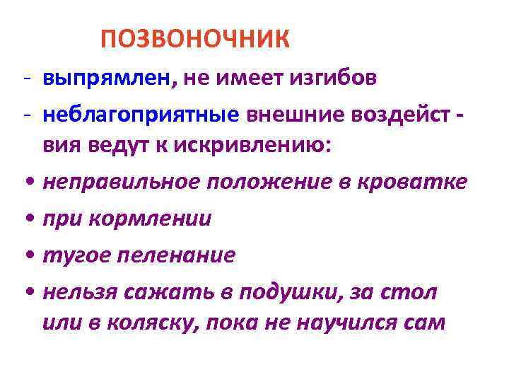 ПОЗВОНОЧНИК - выпрямлен, не имеет изгибов - неблагоприятные внешние воздейст вия ведут к искривлению: