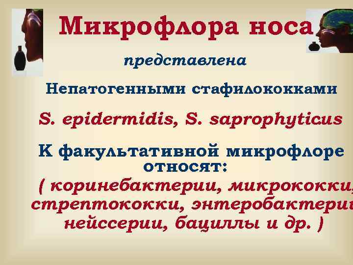  Микрофлора носа представлена Непатогенными стафилококками S. epidermidis, S. saprophyticus . К факультативной микрофлоре