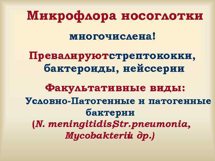 Микрофлора носоглотки многочислена! Превалируют: стрептококки, бактероиды, нейссерии Факультативные виды: Условно-Патогенные и патогенные бактерии (N.