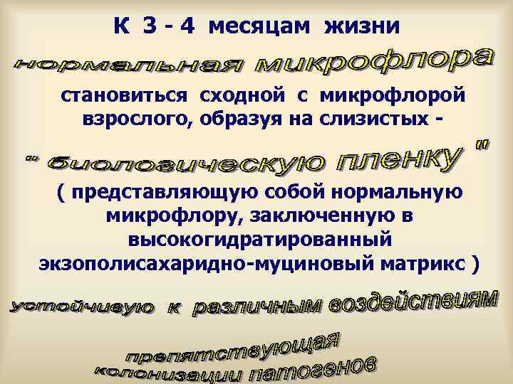  К 3 - 4 месяцам жизни становиться сходной с микрофлорой взрослого, образуя на