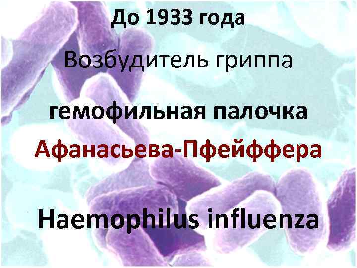 До 1933 года Возбудитель гриппа гемофильная палочка Афанасьева-Пфейффера Haemophilus influenza 