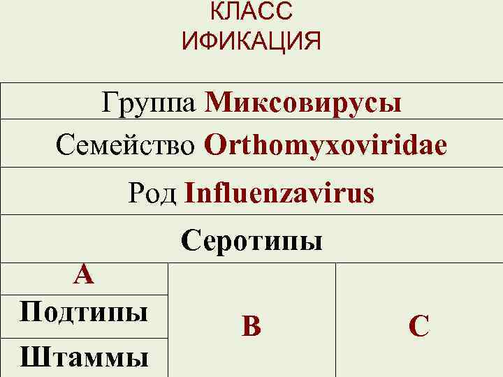 КЛАСС ИФИКАЦИЯ Группа Миксовирусы Семейство Orthomyxoviridae Род Influenzavirus А Подтипы Штаммы Серотипы В С