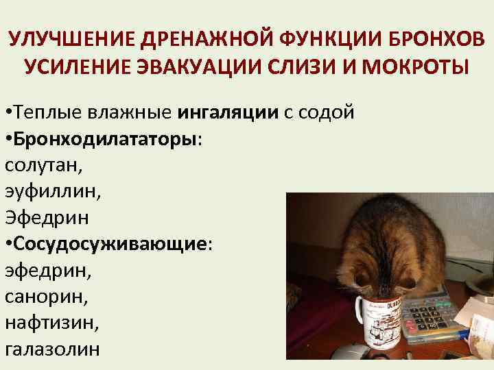 УЛУЧШЕНИЕ ДРЕНАЖНОЙ ФУНКЦИИ БРОНХОВ УСИЛЕНИЕ ЭВАКУАЦИИ СЛИЗИ И МОКРОТЫ • Теплые влажные ингаляции с