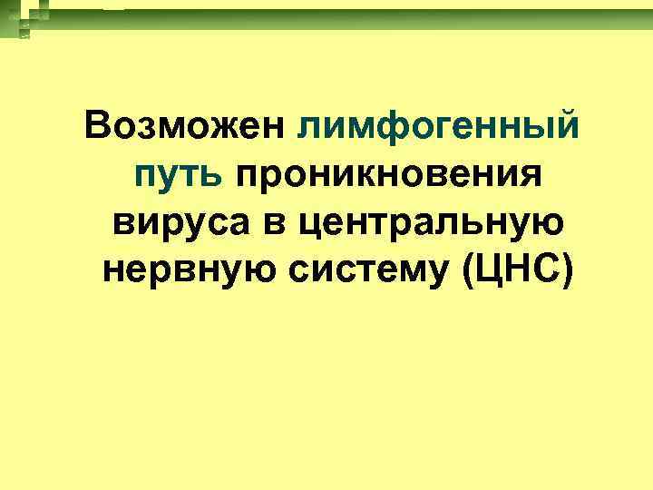 Возможен лимфогенный путь проникновения вируса в центральную нервную систему (ЦНС) 