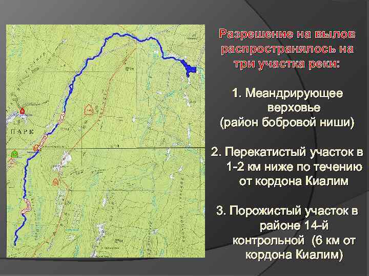 Разрешение на вылов распространялось на три участка реки: 1. Меандрирующее верховье (район бобровой ниши)