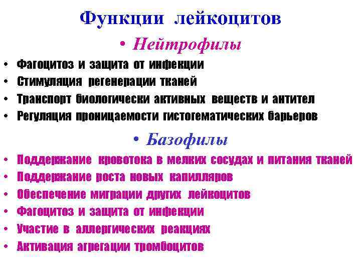 Функции лейкоцитов • Нейтрофилы • • Фагоцитоз и защита от инфекции Стимуляция регенерации тканей