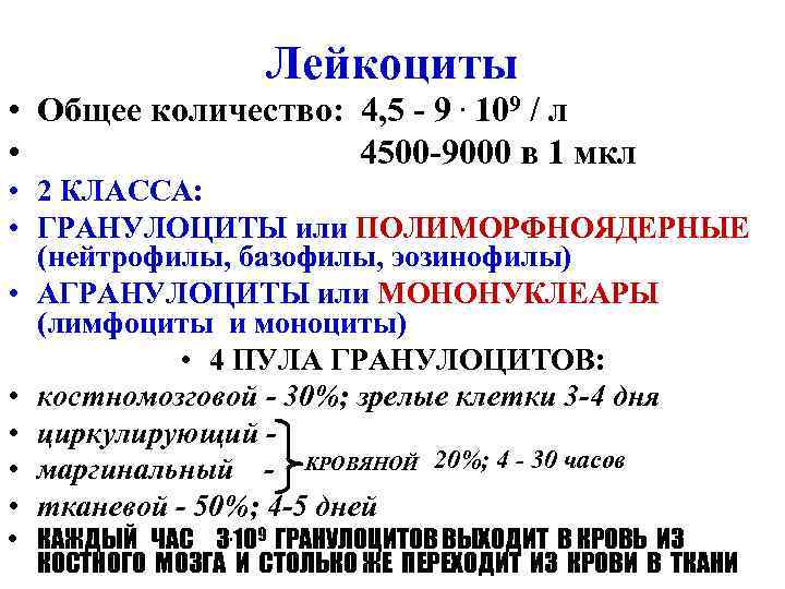 Лейкоциты • Общее количество: 4, 5 - 9. 109 / л • 4500 -9000