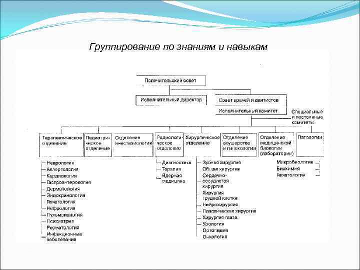 Группирование по знаниям и навыкам 
