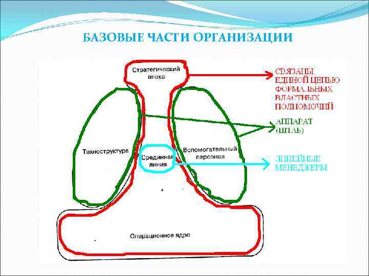 БАЗОВЫЕ ЧАСТИ ОРГАНИЗАЦИИ 