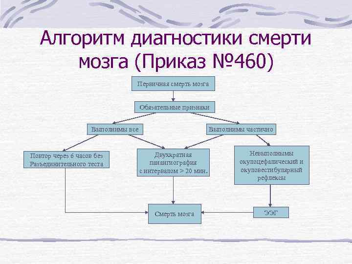 Алгоритм диагностики смерти мозга (Приказ № 460) Первичная смерть мозга Обязательные признаки Выполнимы все