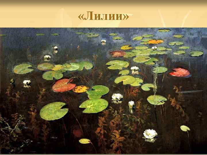  «Лилии» 