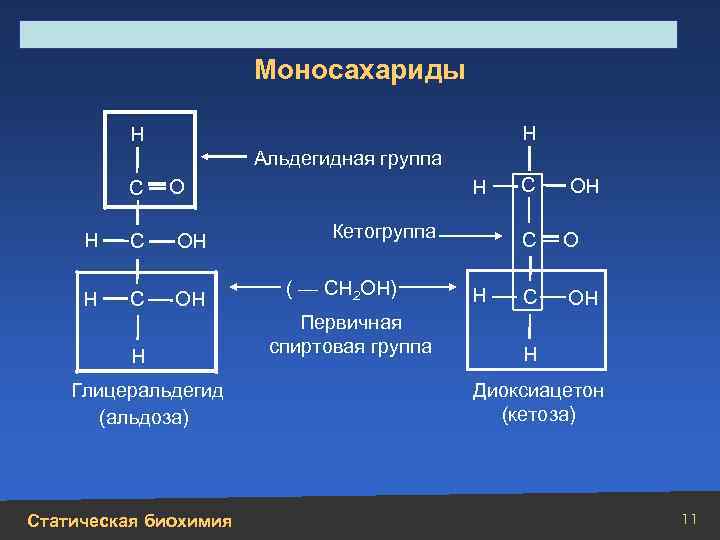 Строение, свойства, биологическая роль углеводов и липидов Моносахариды Н Н Альдегидная группа С Н