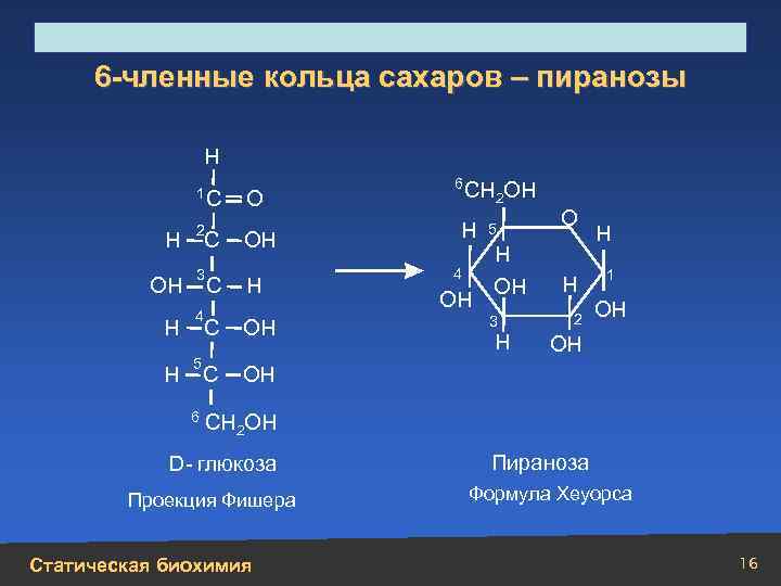 Строение, свойства, биологическая роль углеводов и липидов 6 -членные кольца сахаров – пиранозы Н