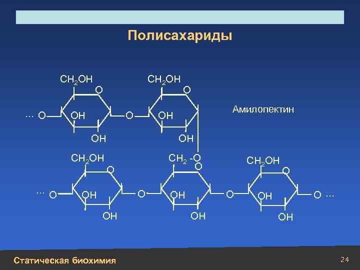 Строение, свойства, биологическая роль углеводов и липидов Полисахариды СН 2 ОН … О СН