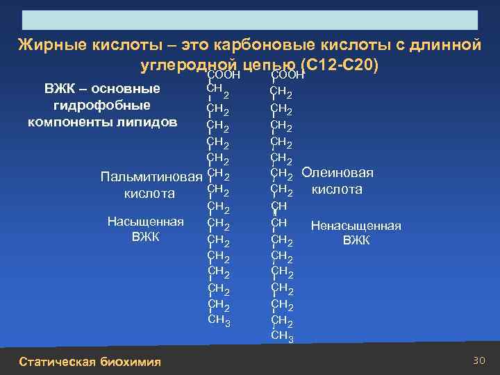 Строение, свойства, биологическая роль углеводов и липидов Жирные кислоты – это карбоновые кислоты с