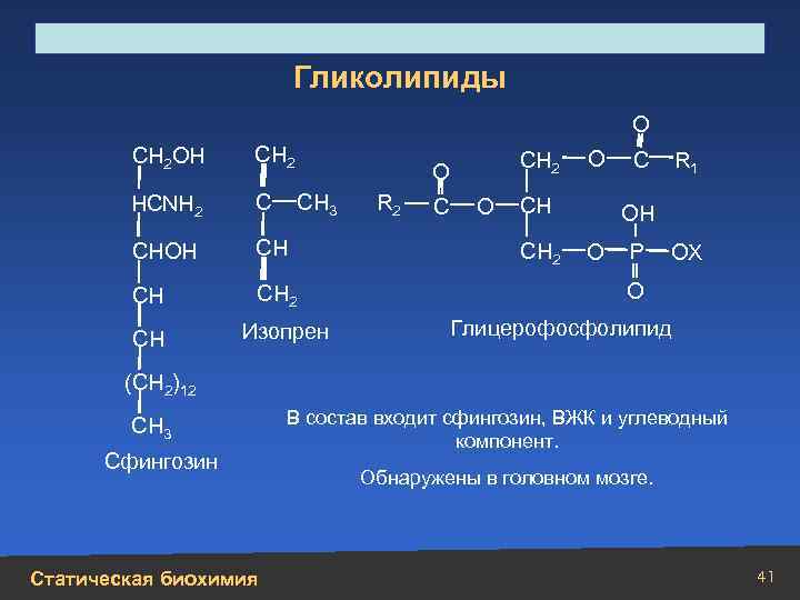 Строение, свойства, биологическая роль углеводов и липидов Гликолипиды О СН 2 ОН СН 2