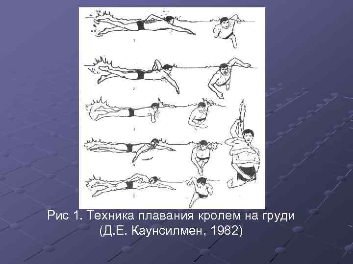 Рис 1. Техника плавания кролем на груди (Д. Е. Каунсилмен, 1982) 