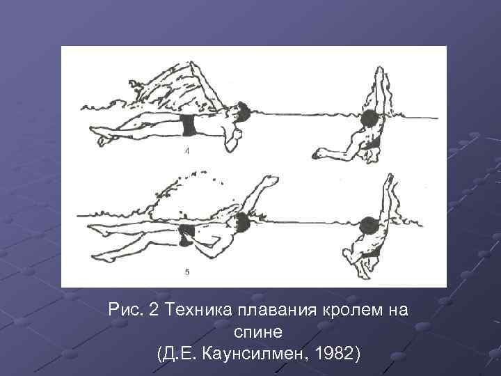 Рис. 2 Техника плавания кролем на спине (Д. Е. Каунсилмен, 1982) 