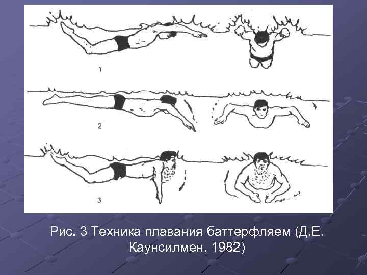 Рис. 3 Техника плавания баттерфляем (Д. Е. Каунсилмен, 1982) 
