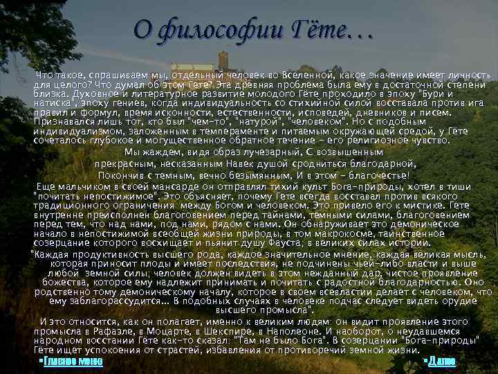 О философии Гёте… Что такое, спрашиваем мы, отдельный человек во Вселенной, какое значение имеет