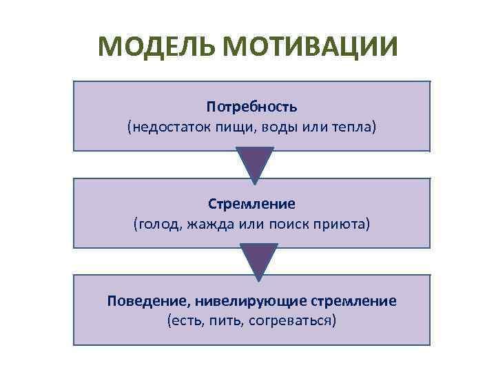 Потребности мотивы цели деятельности. Модель мотивации. Модель процесса мотивации. Потребности и мотивация. Потребность мотив стимул.