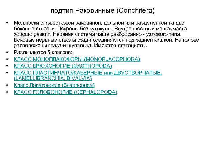 подтип Раковинные (Conchifera) • • Моллюски с известковой раковиной, цельной или разделенной на две