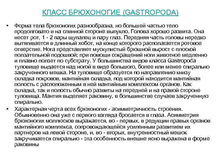КЛАСС БРЮХОНОГИЕ (GASTROPODA) • • Форма тела брюхоногих разнообразна, но большей частью тело продолговато