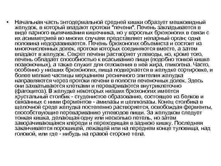  • Начальная часть энтодермальной средней кишки образует мешковидный желудок, в который впадают протоки