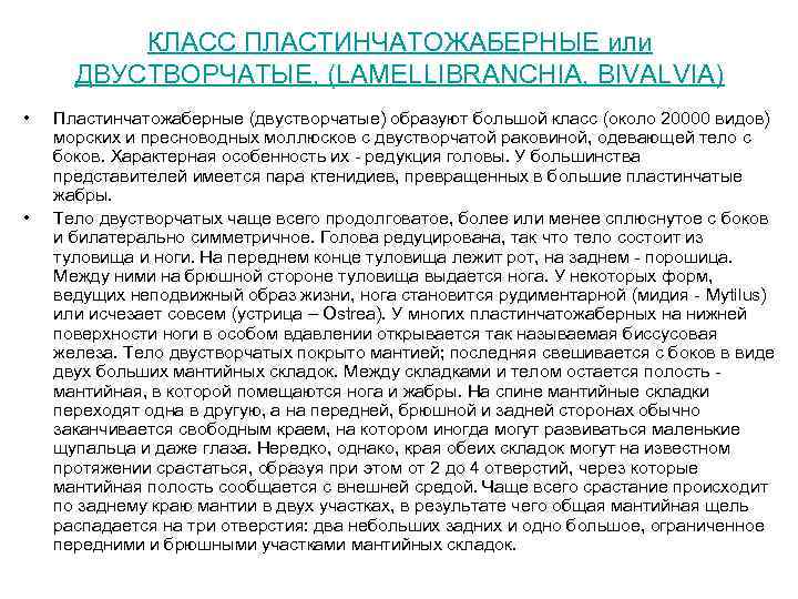 КЛАСС ПЛАСТИНЧАТОЖАБЕРНЫЕ или ДВУСТВОРЧАТЫЕ, (LAMELLIBRANCHIA, BIVALVIA) • • Пластинчатожаберные (двустворчатые) образуют большой класс (около