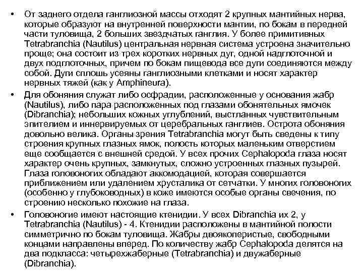  • • • От заднего отдела ганглиозной массы отходят 2 крупных мантийных нерва,