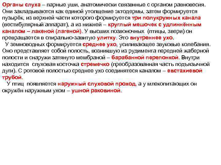 Органы слуха – парные уши, анатомически связвнные с органом равновесия. Они закладываются как единой