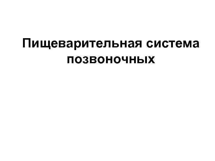 Пищеварительная система позвоночных 