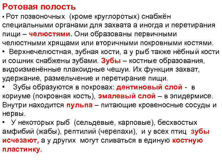 Ротовая полость • Рот позвоночных (кроме круглоротых) снабжён специальными органами для захвата а иногда