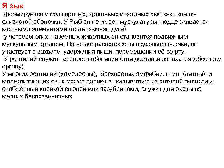 Я зык формируется у круглоротых, хрящевых и костных рыб как складка слизистой оболочки. У