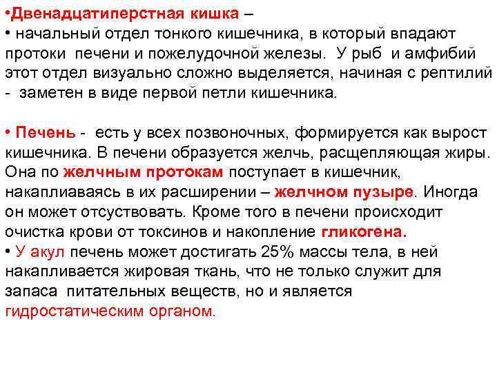  • Двенадцатиперстная кишка – • начальный отдел тонкого кишечника, в который впадают протоки